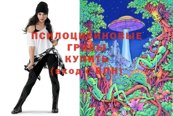 альфа пвп Няндома