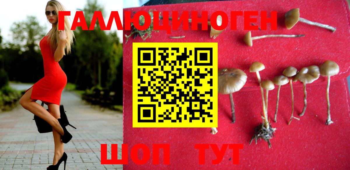 Ноябрьск  Псилоцибиновые грибы Psilocybe  Галлюциногенные грибы мухоморы  Вход с VPN 