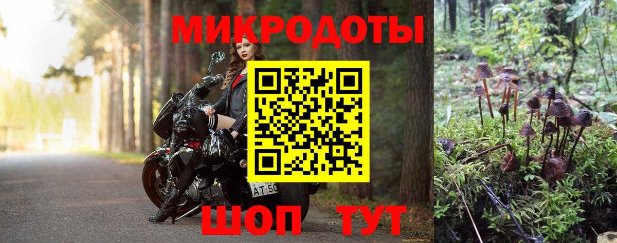Псилоцибиновые грибы Psilocybe  Вход с VPN  Ноябрьск 